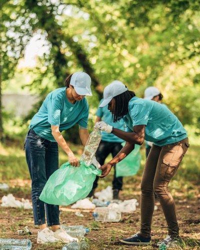 Saam Foundation Activity 8